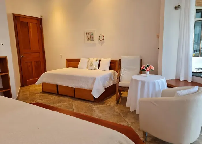 Corazon - Private At Arenal Villa Nuevo Arenal